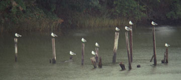 No Vacancy
